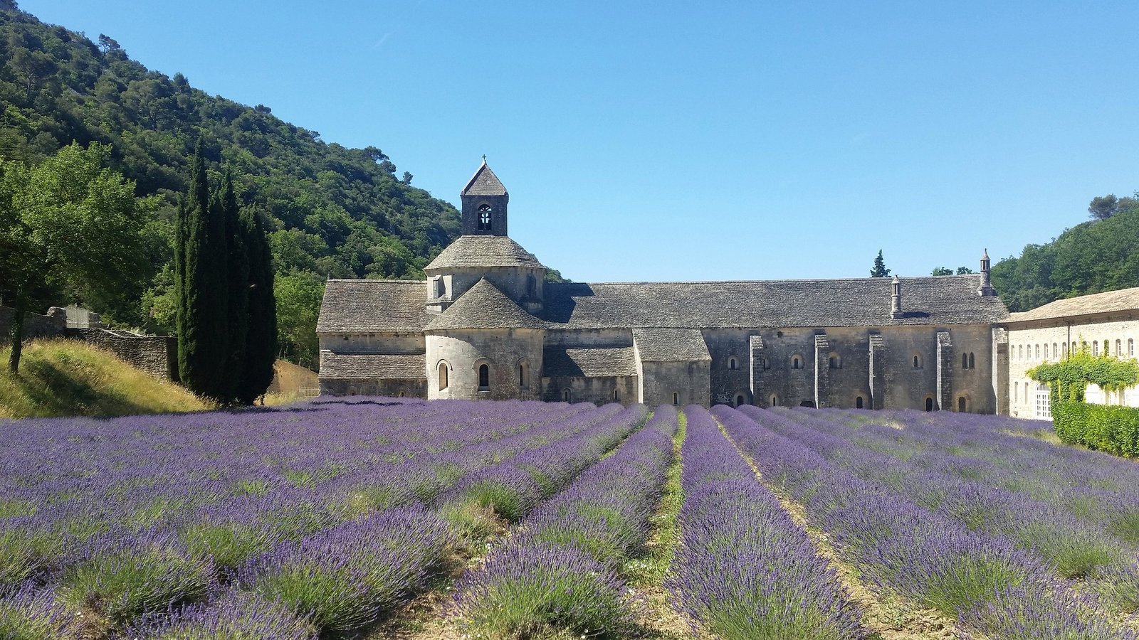 abbaye-5199856_1920 (1)