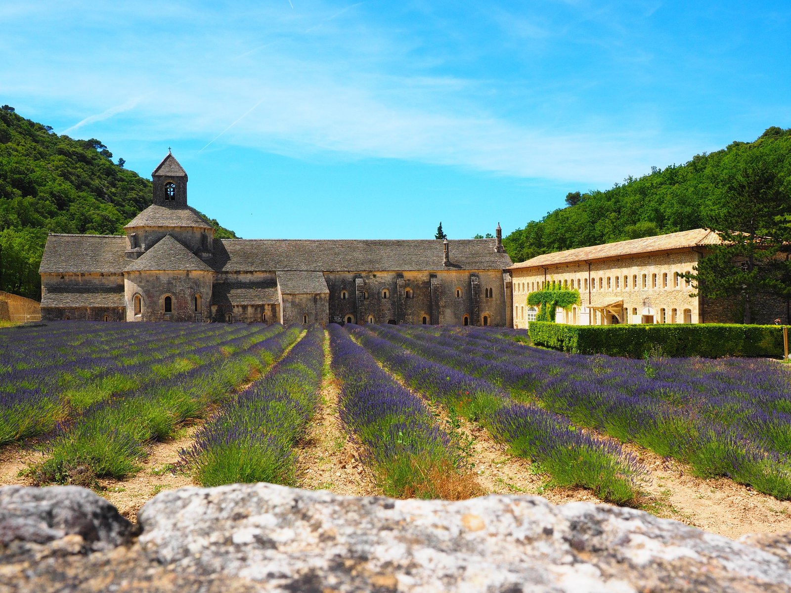 abbaye-de-senanque-1460355_1920